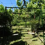 Quinta Da Tapada *
