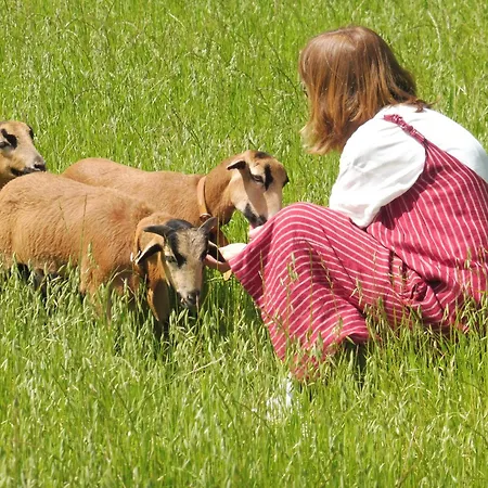 Apartamento Quinta Da Tapada