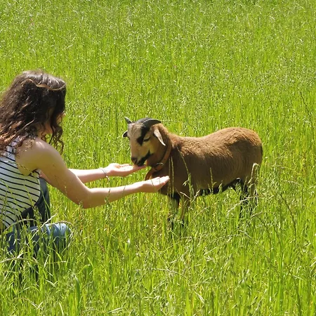 Apartamento Quinta Da Tapada