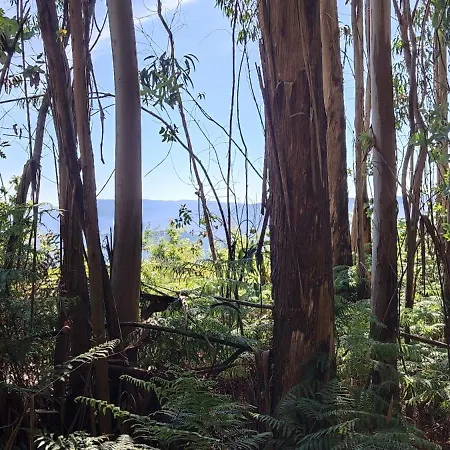 아파트 Quinta Da Tapada