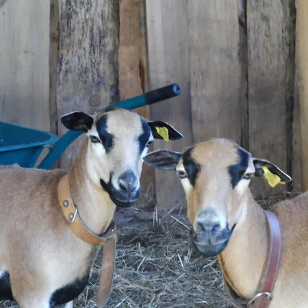 Apartment Quinta Da Tapada