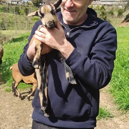 Quinta Da Tapada 아파트 *