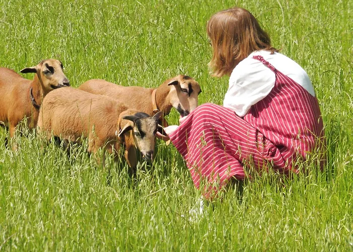 Apartman Quinta Da Tapada