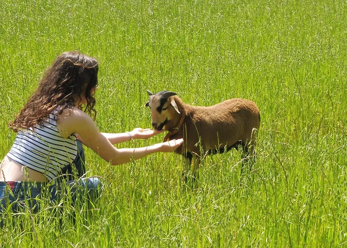 Apartman Quinta Da Tapada