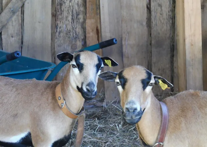 Appartement Quinta Da Tapada