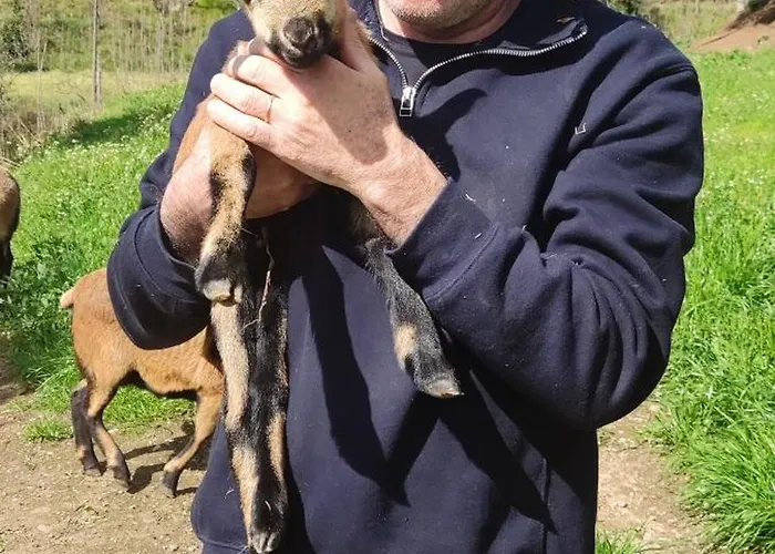 Quinta Da Tapada Appartement *